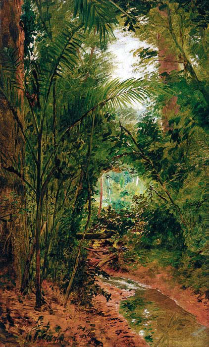 landscape at the rio das pedras